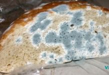 ფრთხილად იყავით !! ნახეთ რა მოხდება, თუკი შემთხვევით ობიანი პროდუქტის ნაჭერს მიირთმევთ… ობიანი პური