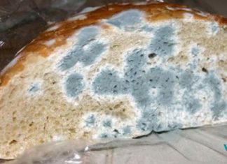 ფრთხილად იყავით !! ნახეთ რა მოხდება, თუკი შემთხვევით ობიანი პროდუქტის ნაჭერს მიირთმევთ… ობიანი პური