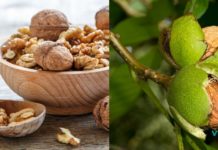 “2 ჭიქის შემდეგ, ისე ვგრძნობ თავს, როგორც ახალგაზრდობაში” – ეს ყველამ უნდა იცოდეთ!