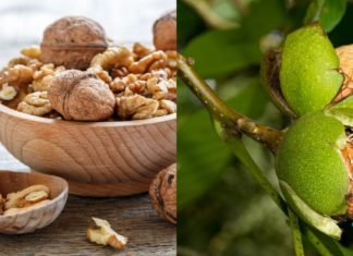 “2 ჭიქის შემდეგ, ისე ვგრძნობ თავს, როგორც ახალგაზრდობაში” – ეს ყველამ უნდა იცოდეთ!