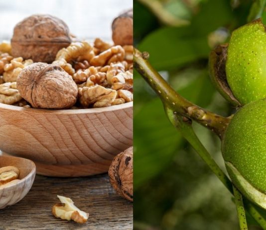 “2 ჭიქის შემდეგ, ისე ვგრძნობ თავს, როგორც ახალგაზრდობაში” – ეს ყველამ უნდა იცოდეთ!