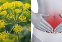 ვინ იფიქრებდა, რომ ეს ასე სასარგებლო იქნებოდა! – კამის საუკეთესო თვისებები.