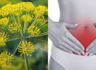 ვინ იფიქრებდა, რომ ეს ასე სასარგებლო იქნებოდა! – კამის საუკეთესო თვისებები.