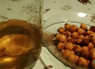 სამკურნალო მცენარის ნაყოფი, რომელიც ააქტიურებს ტვინის უჯრედებს და გიბრუნებს მეხსიერებას 85% – ით… სამკურნალო ბალახები