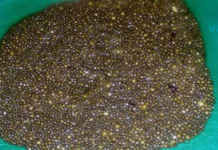 იგი ექიმთან მივიდა კუჭის ტკივილით, მაგრამ როცა ეს აღმოაჩინა შოკირებული იყო..