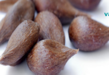 ეს თესლი შეიცავს ვიტამინ B17-ს, რომელიც ანადგურებს ყველაზე მწვავე დაავადებებსაც კი!