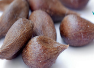 ეს თესლი შეიცავს ვიტამინ B17-ს, რომელიც ანადგურებს ყველაზე მწვავე დაავადებებსაც კი!