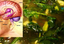 მეხსიერება აღდგება 95-ზე მეტი პროცენტით! ასევე ეს საშუალება დაგეხმარებათ ძვლების და მხედველობის გაუმჯობესებაშიც..