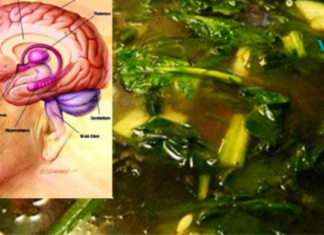 მეხსიერება აღდგება 95-ზე მეტი პროცენტით! ასევე ეს საშუალება დაგეხმარებათ ძვლების და მხედველობის გაუმჯობესებაშიც..