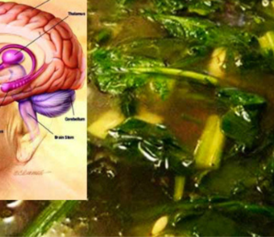 მეხსიერება აღდგება 95-ზე მეტი პროცენტით! ასევე ეს საშუალება დაგეხმარებათ ძვლების და მხედველობის გაუმჯობესებაშიც..