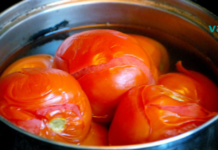 აახალგაზრდავებს კანს, შლის ნაღვლის ბუშტსა და თირკმელში კენჭებს, აუმჯობესებს მხედველობას და გააჩნია კიდევ მრავალი სხვა სარგებელი..!