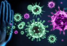 როგორ გავიძლიეროთ იმუნიტეტი ხალხური მეთოდების გამოყენებით? გაიგეთ მეტი ამის შესახებ…