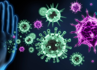 როგორ გავიძლიეროთ იმუნიტეტი ხალხური მეთოდების გამოყენებით? გაიგეთ მეტი ამის შესახებ…