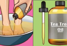 ჩაის ხის ზეთის გამოყენების 10 მნიშვნელოვანი ეფექტი თქვენზე და თქვენს ჯანმრთელობაზე!!