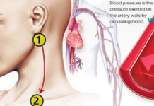 დააჭირეთ ამ წერტილებს, რათა დაგეხმაროთ არტერიული წნევის აღდგენაში!!
