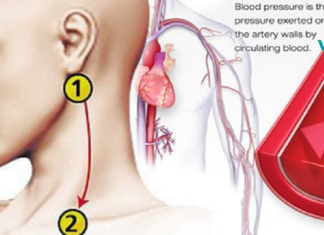 დააჭირეთ ამ წერტილებს, რათა დაგეხმაროთ არტერიული წნევის აღდგენაში!!