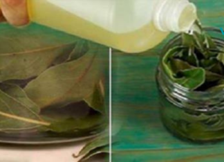 ეს ფოთლები ნამდვილად ღვთის კურთხევაა: მათ შეუძლიათ ებრძოლონ უძილობას, არტერიულ წნევას და შაქარსაც კი