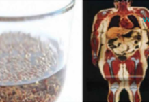 აღმოვაჩინე, რომ ამ ორი ინგრედიენტის დახმარებით მოვიშორე ორგანიზმიდან ყველა სახის პარაზიტი!