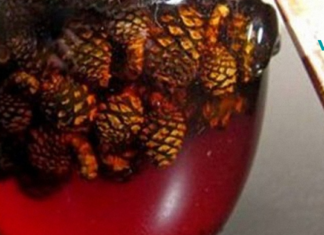 გირჩების ნაყენი რომელსაც ხშირად იყენებენ სისხლძარღვების სამკურნალოდ!!