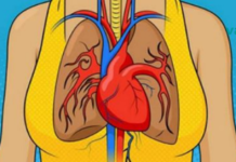 სხეული გაფრთხილებთ 1 თვით ადრე: 8 ფარული ნიშანი, რომელიც ყველამ უნდა იცოდეს!