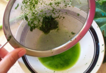 პაპაიას ფოთლის ჩაის ჯანმრთელობის სარგებელი. მართლაც სასწაულია!