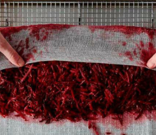 შეამცირეთ არტერიული წნევა და გაიწმინდეთ ღვიძლი ერთ დღეში ჭარხლის დახმარებით!