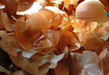 ამ სტატიის წაკითხვის შემდეგ ხახვის კანს აღარასდროს გადააგდებთ!