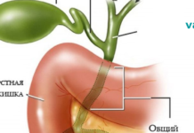 როგორ გავწმინდოთ ნაღვლის ბუშტი სრულად ხალხური საშუალებების გამოყენებით?!..