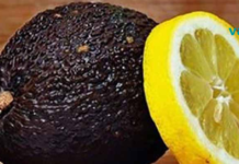 ესაა ყველაზე ჯანსაღი დიეტა,რომელიც მკურნალობს დეპრესიას, შაკიკს და აუტიზმსაც კი!