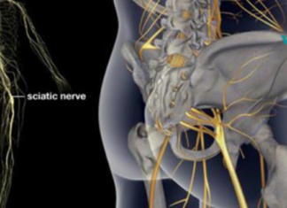 3 სავარჯიშო თეძოს და ზურგის ტკივილის სამკურნალოდ. სასარგებლო ინფორმაცია!