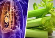 მას ათასობით ადამიანის სიცოცხლის გადარჩენა შეუძლია: კვლევამ აჩვენა, რომ ნიახური ანადგურებს მრავალი სერიოზული დაავადების უჯრედების 86%-ს..