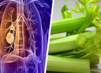 მას ათასობით ადამიანის სიცოცხლის გადარჩენა შეუძლია: კვლევამ აჩვენა, რომ ნიახური ანადგურებს მრავალი სერიოზული დაავადების უჯრედების 86%-ს..