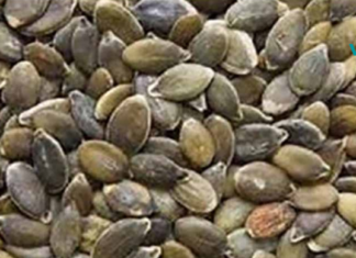 ეს თესლი აუმჯობესებს ძილს, კურნავს ასტიგმატიზმს და ამავდროულად სხვა მრავალ სერიოზულ დაავადებას!