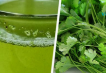 იცოდით, რომ ქინძი შეგიძლიათ გამოიყენოთ, როგორც წამალი? აქ იხილავთ, რისთვის მუშაობს ეს საოცარი მცენარე!