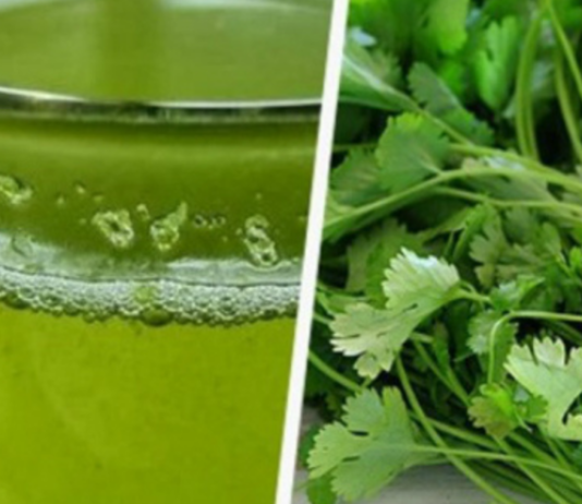 იცოდით, რომ ქინძი შეგიძლიათ გამოიყენოთ, როგორც წამალი? აქ იხილავთ, რისთვის მუშაობს ეს საოცარი მცენარე!