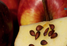 თესლის 4 სახეობა უფრო დიდი ანტიკარცინოგენური ძალით. ნამდვილად გაგიკვირდებათ!