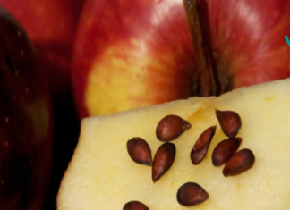 თესლის 4 სახეობა უფრო დიდი ანტიკარცინოგენური ძალით. ნამდვილად გაგიკვირდებათ!