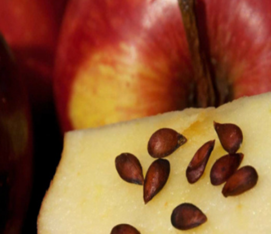 თესლის 4 სახეობა უფრო დიდი ანტიკარცინოგენური ძალით. ნამდვილად გაგიკვირდებათ!