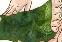 წაკითხვის შემდეგ აუცილებლად მოგინდებათ თქვენც, რომ სცადოთ!