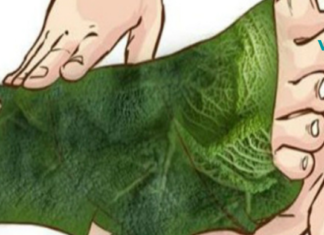 წაკითხვის შემდეგ აუცილებლად მოგინდებათ თქვენც, რომ სცადოთ!