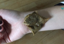 10 საშინაო საშუალება, რომლებმაც დაძლიეს “დროის გამოცდა” !