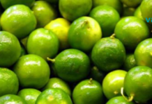 9 ტუტე საკვები, რომელიც დაგეხმარებათ გაასუფთავოთ და ამოიღოთ ყველა მჟავა თქვენი სხეულიდან..!!