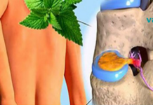 დადასტურებულია, რომ პიტნა აღადგენს მუხლის ხრტილს! გაეცანით მის ჯადოსნურ თვისებებს!