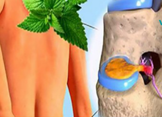 დადასტურებულია, რომ პიტნა აღადგენს მუხლის ხრტილს! გაეცანით მის ჯადოსნურ თვისებებს!