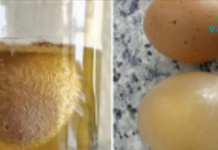 ეს საშუალება მოგიხსნით ძვლებისა და სახსრების პრობლემებს, რომლებიც სავარაუდოდ წლებია გაწუხებთ..!