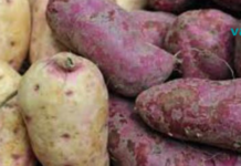 კიდევ ერთი საკვები, რომელიც აუცილებლად უნდა მიირთვათ! ტკბილი კარტოფილის ჯანმრთელობის დიდი სარგებელი!