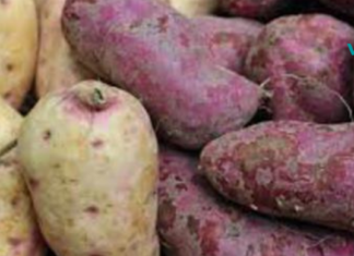 კიდევ ერთი საკვები, რომელიც აუცილებლად უნდა მიირთვათ! ტკბილი კარტოფილის ჯანმრთელობის დიდი სარგებელი!