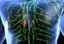 გაასუფთავეთ თქვენი სხეული: ლიმფური სისტემის დეტოქსიკაციისთვის 10 საუკეთესო გზა!