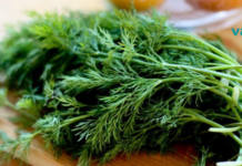 კამა, როგორც ჯადოსნური თვისებების მქონე მცენარე!! ტრადიციული მედიცინის აღმოჩენაა..