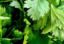 ონკანის წყლიდან ფტორის, ალუმინის, ტყვიის, ქლორიდის, ქლორისა და ლითიუმისგან გაწმენდის ყველაზე იაფი გზაა..